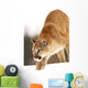 Cougar Hunting Wall Mural