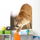 Cougar Hunting Wall Mural