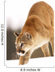 Cougar Hunting Wall Mural