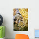 Raccoon Fishing Wall Mural