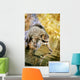 Raccoon Fishing Wall Mural