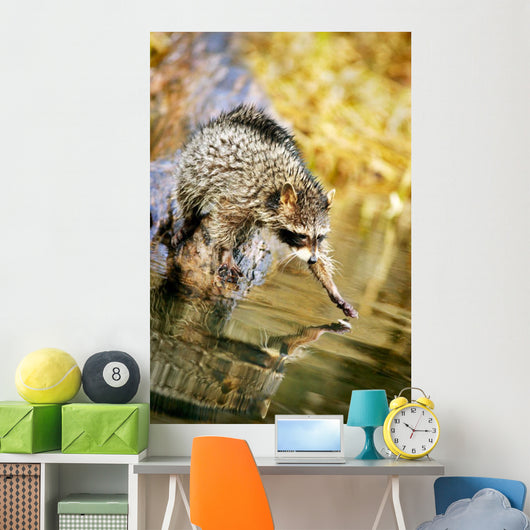 Raccoon Fishing Wall Mural