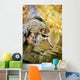 Raccoon Fishing Wall Mural