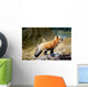 Red Fox On Rocks Wall Mural