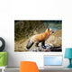 Red Fox On Rocks Wall Mural