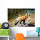 Red Fox On Rocks Wall Mural
