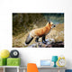 Red Fox On Rocks Wall Mural