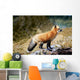 Red Fox On Rocks Wall Mural