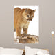 Cougar with Fallen Prey Wall Decal