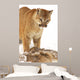 Cougar with Fallen Prey Wall Decal