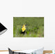 Yellow Headed Blackbird Wall Mural