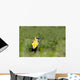 Yellow Headed Blackbird Wall Mural