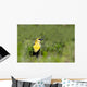 Yellow Headed Blackbird Wall Mural