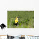 Yellow Headed Blackbird Wall Mural