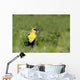 Yellow Headed Blackbird Wall Mural