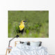 Yellow Headed Blackbird Wall Mural