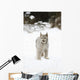Wild Lynx Wall Mural