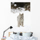 Wild Lynx Wall Mural