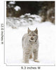 Wild Lynx Wall Mural