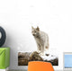 Canadian Lynx On Fallen Log Wall Mural