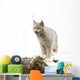 Canadian Lynx On Fallen Log Wall Mural