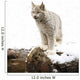 Canadian Lynx On Fallen Log Wall Mural