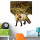 Red Fox In Snow Wall Mural