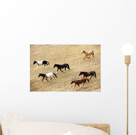 Horses Galloping Wall Mural