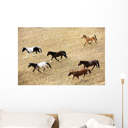 Horses Galloping Wall Mural