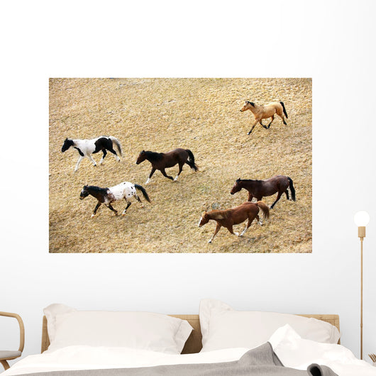 Horses Galloping Wall Mural