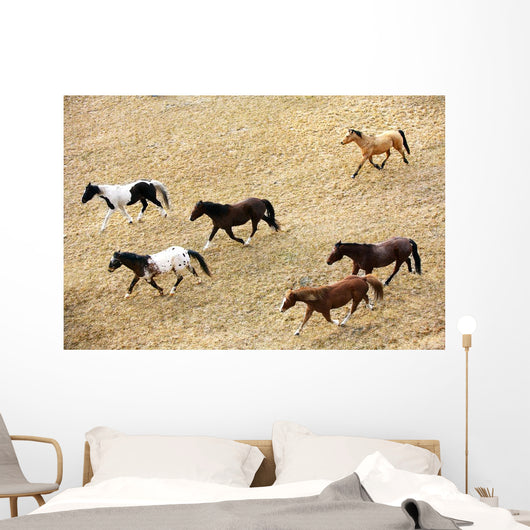 Horses Galloping Wall Mural
