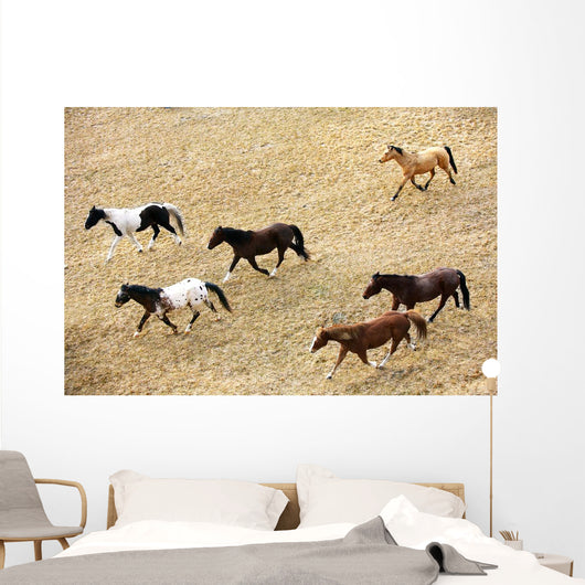 Horses Galloping Wall Mural