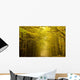 Centered mysterious road in autumn forest. Wall Mural
