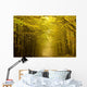 Centered mysterious road in autumn forest. Wall Mural