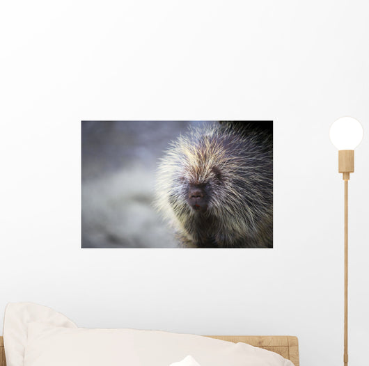 Porcupine Wall Mural