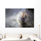 Porcupine Wall Mural