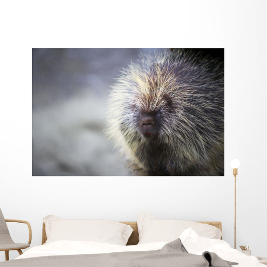 Porcupine Wall Mural