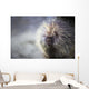 Porcupine Wall Mural