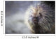 Porcupine Wall Mural
