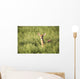 Deer In The Brush Wall Mural