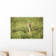 Deer In The Brush Wall Mural