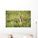 Deer In The Brush Wall Mural