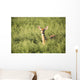 Deer In The Brush Wall Mural