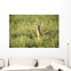 Deer In The Brush Wall Mural