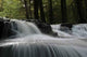 Forest Water Wall Decal