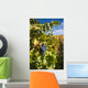 Photo Port Wine Grapes Wall Mural