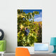 Photo Port Wine Grapes Wall Mural
