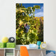 Photo Port Wine Grapes Wall Mural