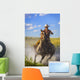 Woman Riding A Horse Wall Mural