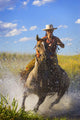 Woman Riding A Horse Wall Mural
